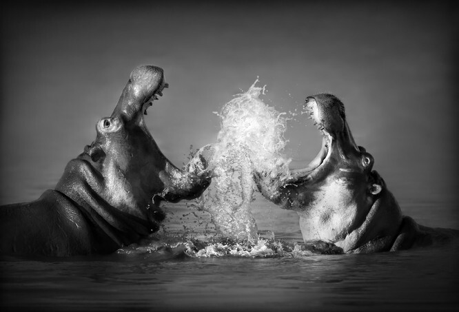 shutterstock_61480717